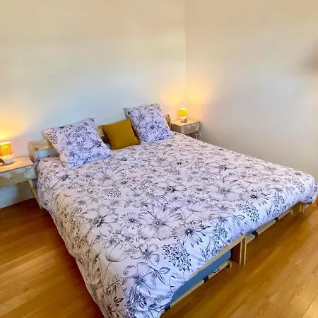 Sur Le Port De Plaisance - Proche Et Centre Daire